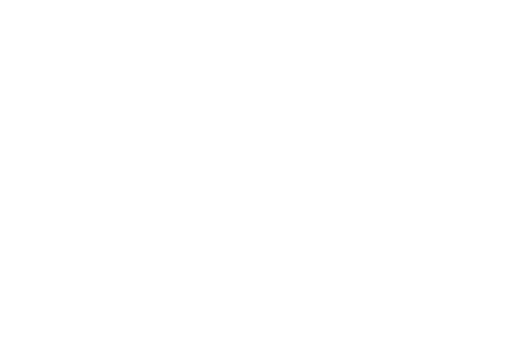 the Virginia Home logo